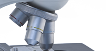 Laboratory Services